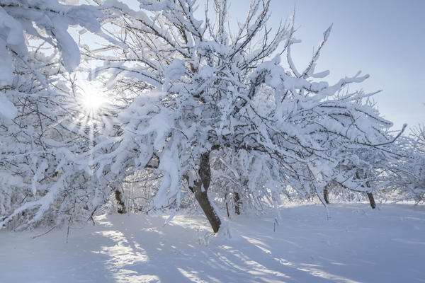 В средней полосе России земля покрыта снегом пять месяцев в году